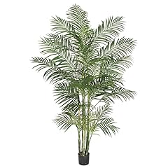 Areca silk palm for sale  Delivered anywhere in USA 