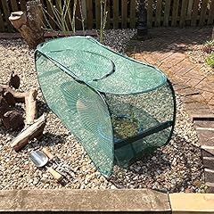 Gardenskill pop fruit for sale  Delivered anywhere in UK