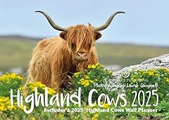 2025 highland cows for sale  Delivered anywhere in UK