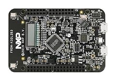 Freedom dev board usato  Spedito ovunque in Italia 