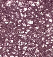 Japanese ogura lace for sale  Delivered anywhere in USA 