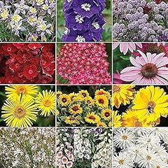 Nurseryman choice perennial for sale  Delivered anywhere in UK