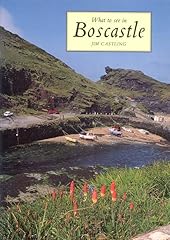 See boscastle for sale  Delivered anywhere in UK