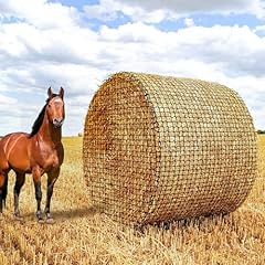 Gasgimos 6x6ft round for sale  Delivered anywhere in USA 