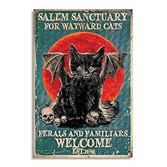 Zmkdll salem sanctuary for sale  Delivered anywhere in USA 