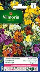 Vilmorin 5293041 giroflée d'occasion  Livré partout en France