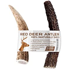 Two antler chews for sale  Delivered anywhere in Ireland