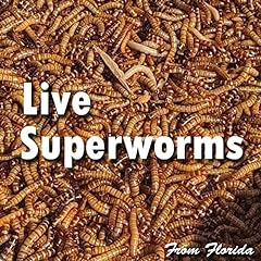 Superworm 200 live for sale  Delivered anywhere in USA 