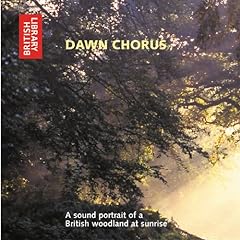 Dawn chorus sound for sale  Delivered anywhere in UK
