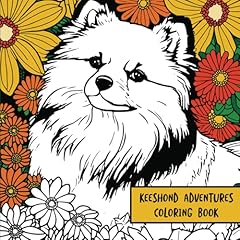 Keeshond adventures coloring for sale  Delivered anywhere in UK