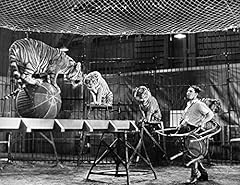 Animal tamer 1930s for sale  Delivered anywhere in USA 