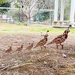 5pcs rusty quail for sale  Delivered anywhere in USA 