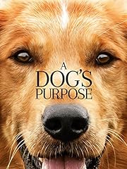 Dog purpose for sale  Delivered anywhere in USA 