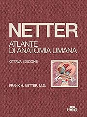 Netter atlante anatomia usato  Spedito ovunque in Italia 