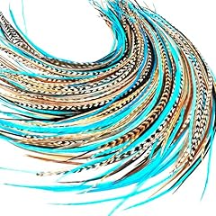 Natural turquoise color for sale  Delivered anywhere in USA 