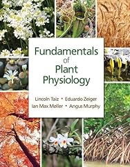 Fundamentals plant physiology for sale  Delivered anywhere in Canada