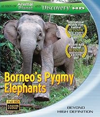 Borneos pygmy elephants d'occasion Borneos pygmy elephants d'occasion  Livré partout en France