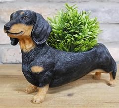 Animal crackers dachshund for sale  Delivered anywhere in UK