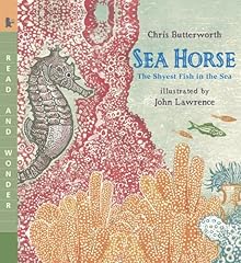 Sea horse shyest for sale  Delivered anywhere in USA 