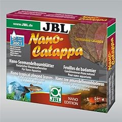 Jbl nanoc atappa usato  Spedito ovunque in Italia 