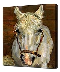 Grey gelding freud for sale  Delivered anywhere in USA 