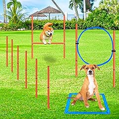 Xiaz dog agility for sale  Delivered anywhere in USA 