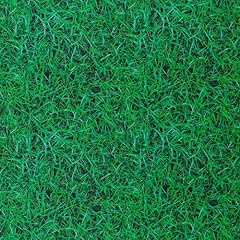 Mook fabrics natural for sale  Delivered anywhere in USA 