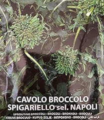 Semi cavolo broccolo usato  Spedito ovunque in Italia 