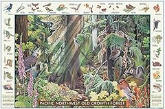 Pacific old growth for sale  Delivered anywhere in USA 