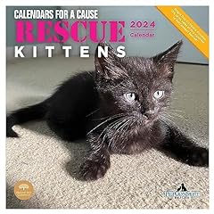2024 rescue kittens for sale  Delivered anywhere in USA 