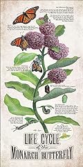 Life cycle monarch for sale  Delivered anywhere in USA 