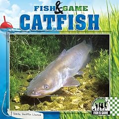 Catfish for sale  Delivered anywhere in USA 