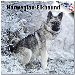 2023 2024 norwegian for sale  Delivered anywhere in UK