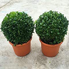 Gardenersdream pair real for sale  Delivered anywhere in UK