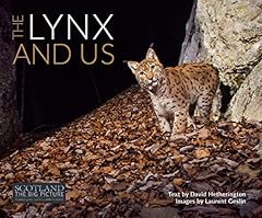Lynx us for sale  Delivered anywhere in UK
