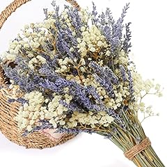 Dried lavender baby for sale  Delivered anywhere in USA 