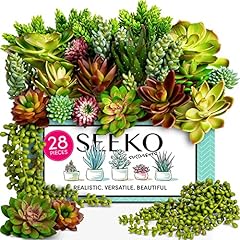 Seeko succulents artificial for sale  Delivered anywhere in USA 