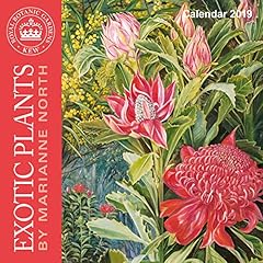 Kew gardens exotic d'occasion  Livré partout en France