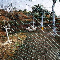 Lxgkrel vogelschutznetz hühne gebraucht kaufen  Wird an jeden Ort in Deutschland