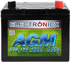 Rasentraktor batterie agm gebraucht kaufen  Wird an jeden Ort in Deutschland