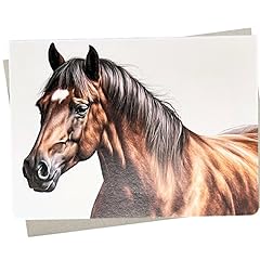 Beautiful quarterhorse card for sale  Delivered anywhere in USA 