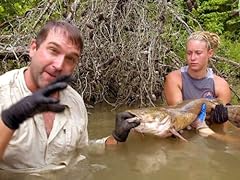 Giant catfish for sale  Delivered anywhere in USA 