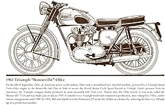 Snowgoose lily 1961 for sale  Delivered anywhere in UK