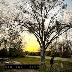 Oak tree baby for sale  Delivered anywhere in USA 