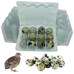 Nwquailfarm jumbo quail for sale  Delivered anywhere in USA 
