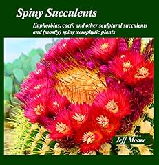 Spiny succulents euphorbias for sale  Delivered anywhere in USA 