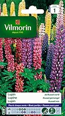Vilmorin 5345741 lupin d'occasion  Livré partout en France