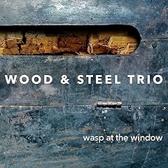 Wasp window for sale  Delivered anywhere in USA 