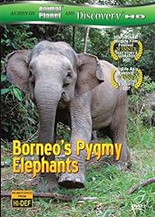 Borneos pygmy elephants d'occasion  Livré partout en France