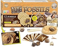 Dr. daz fossil usato  Spedito ovunque in Italia 